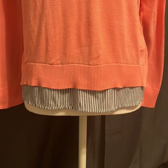 ❤SALE❤Crown&ivyPinkSweater with Embrodiered Detail and Blue and White Hem. - Picture 4 of 6